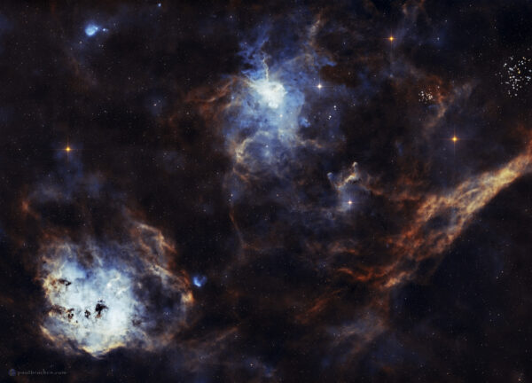 IC 410 Tadpoles & IC 417 Spider